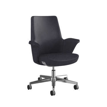 Summa, Rückenschale mit gepolstertem Leder, Carbon, Maribo (chromfreies Leder)