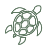 Turtle Icon